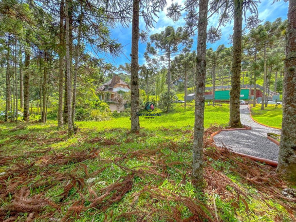 Imagem Terreno à Venda, 1 m² em Aspen Mountain - Gramado Imagem Terreno à Venda, 1 m² em Aspen Mountain - Gramado