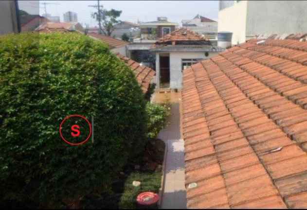 Imagem Casa com 3 Quartos à Venda, 200 m² em Vila Lúcia - São Paulo Imagem Casa com 3 Quartos à Venda, 200 m² em Vila Lúcia - São Paulo