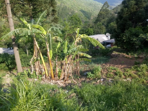 Imagem Terreno à Venda, 551 m² em Centro - Nova Petrópolis Imagem Terreno à Venda, 551 m² em Centro - Nova Petrópolis