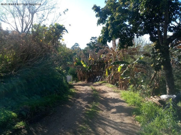 Imagem Casa com 3 Quartos à Venda, 200 m² em Centro - Nova Petrópolis