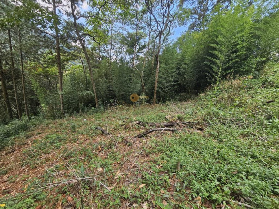 Imagem Terreno à Venda, 670 m² em Cascata Dos Amores - Teresópolis Imagem Terreno à Venda, 670 m² em Cascata Dos Amores - Teresópolis