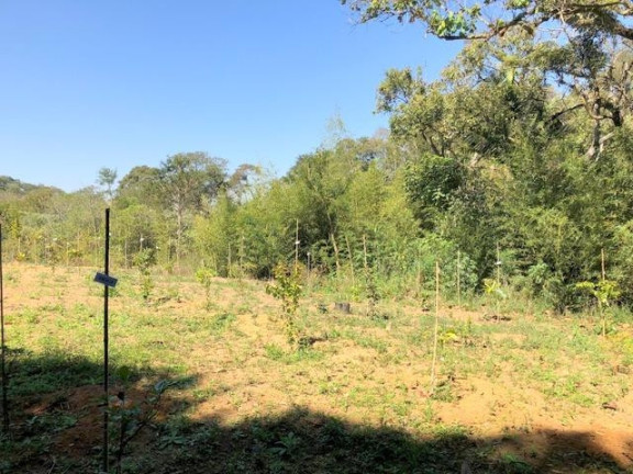 Imagem Terreno à Venda, 5.017 m² em Chácara Das Candeias - Carapicuíba Imagem Terreno à Venda, 5.017 m² em Chácara Das Candeias - Carapicuíba