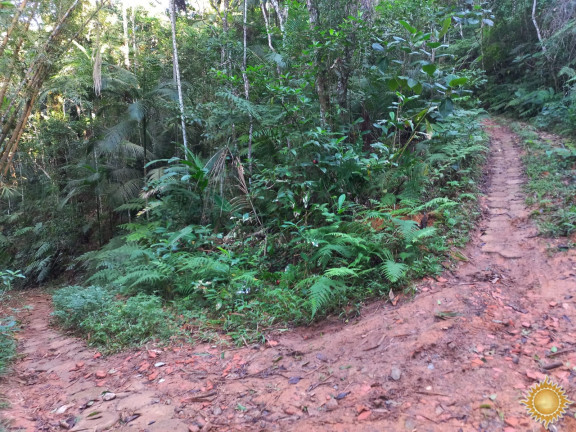 Imagem Terreno à Venda, 1.169 m² em Praia Brava - Ubatuba Imagem Terreno à Venda, 1.169 m² em Praia Brava - Ubatuba