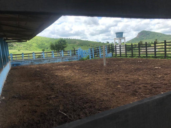 Imagem Chácara à Venda, em Belém Imagem Chácara à Venda, em Belém