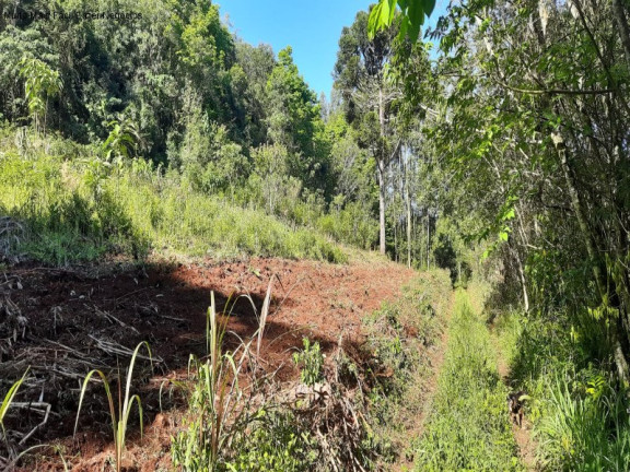 Terreno à Venda, 3 m² em São Jacó - Nova Petrópolis