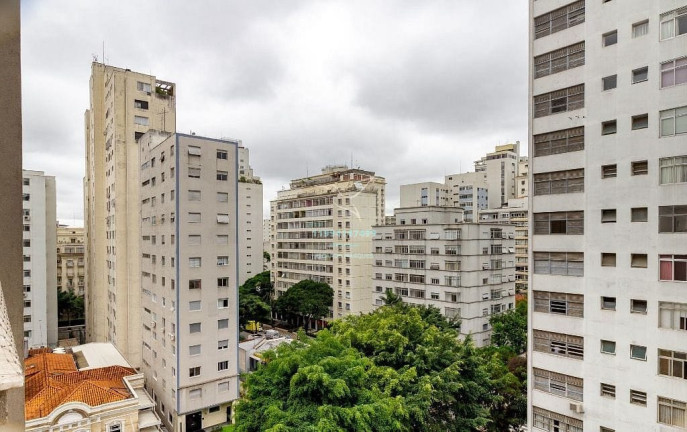 Imagem Apartamento com 3 Quartos à Venda, 230 m² em Higienópolis - São Paulo Imagem Apartamento com 3 Quartos à Venda, 230 m² em Higienópolis - São Paulo