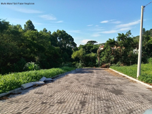 Imagem Terreno à Venda, 391 m² em Pinhal Alto - Nova Petrópolis Imagem Terreno à Venda, 391 m² em Pinhal Alto - Nova Petrópolis