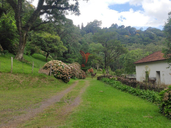 Imagem Imóvel à Venda, 69.000 m² em Zona Rural - Morro Reuter Imagem Imóvel à Venda, 69.000 m² em Zona Rural - Morro Reuter