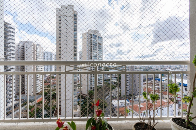 Imagem Apartamento com 3 Quartos à Venda, 83 m² em Parque Boturussu - São Paulo Imagem Apartamento com 3 Quartos à Venda, 83 m² em Parque Boturussu - São Paulo