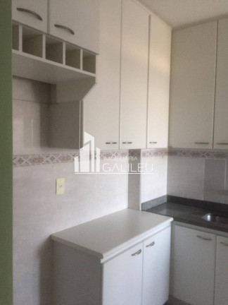 Imagem Apartamento com 2 Quartos à Venda, 58 m² em Jardim Itatiaia - Campinas Imagem Apartamento com 2 Quartos à Venda, 58 m² em Jardim Itatiaia - Campinas