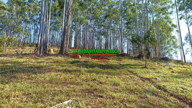Imagem Chácara à Venda, 2 m² em Centro - Paraibuna Imagem Chácara à Venda, 2 m² em Centro - Paraibuna