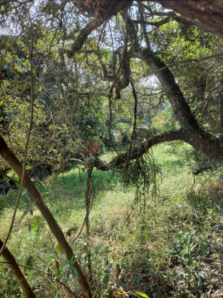 Imagem Casa de Condomínio à Venda, 1.559 m² em Granja Carneiro Viana - Cotia Imagem Casa de Condomínio à Venda, 1.559 m² em Granja Carneiro Viana - Cotia