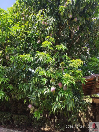 Imagem Fazenda à Venda, 200 m² em Aldeia Dos Camarás - Camaragibe Imagem Fazenda à Venda, 200 m² em Aldeia Dos Camarás - Camaragibe
