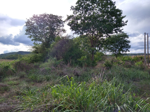 Imagem Imóvel à Venda, 3.000 m² em Zona Rural - Barreiras Imagem Imóvel à Venda, 3.000 m² em Zona Rural - Barreiras