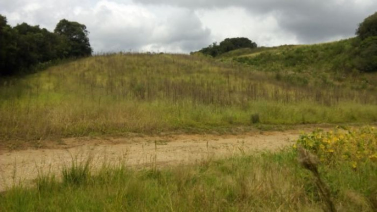Imagem Terreno à Venda, 37.458 m² em Campo Magro - Campo Magro Imagem Terreno à Venda, 37.458 m² em Campo Magro - Campo Magro
