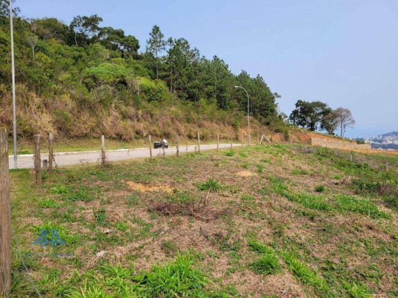 Imagem Terreno à Venda, 485 m² em Itacorubi - Florianópolis
