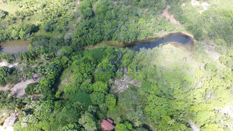 Imagem Fazenda à Venda, 592.700 m² em Monte Gordo (monte Gordo) - Camaçari