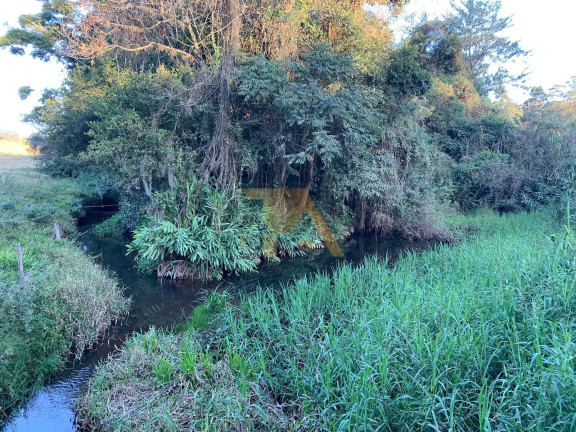 Imagem Fazenda à Venda, em Imaruí - Imaruí Imagem Fazenda à Venda, em Imaruí - Imaruí