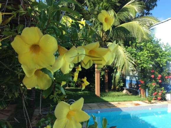 Imagem Casa de Condomínio com 5 Quartos à Venda, 450 m² em Jardim Sulacap - Rio De Janeiro Imagem Casa de Condomínio com 5 Quartos à Venda, 450 m² em Jardim Sulacap - Rio De Janeiro