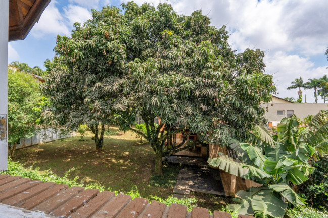 Imagem Casa com 3 Quartos à Venda, 500 m² em Chácara Monte Alegre - São Paulo