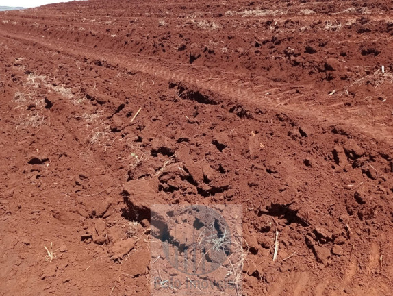 Imagem Imóvel com 8 Quartos à Venda, 773 m² em Serra Azul - Serra Azul Imagem Imóvel com 8 Quartos à Venda, 773 m² em Serra Azul - Serra Azul