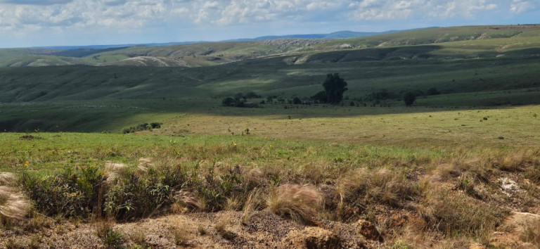Imagem Imóvel à Venda, em Serra Da Canastra - Delfinópolis Imagem Imóvel à Venda, em Serra Da Canastra - Delfinópolis
