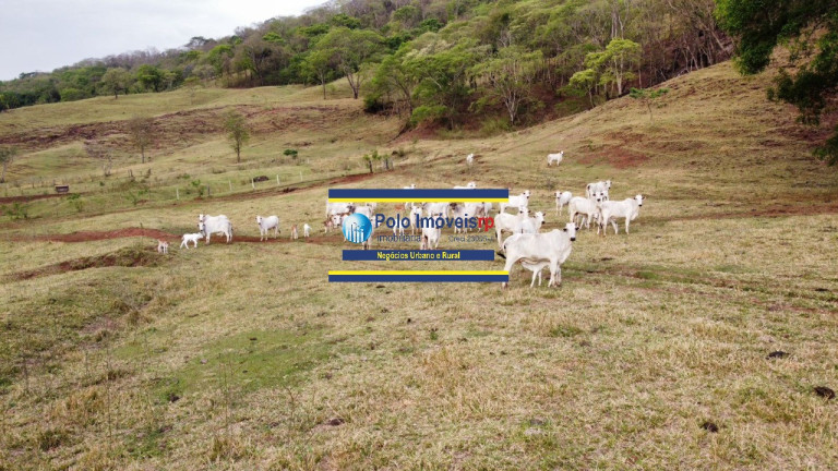 Imagem Imóvel com 6 Quartos à Venda, 181 m² em Centro - Batatais Imagem Imóvel com 6 Quartos à Venda, 181 m² em Centro - Batatais