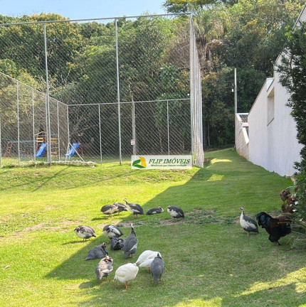 Imagem Terreno à Venda, 340 m² em Residencial Santa Maria - Valinhos Imagem Terreno à Venda, 340 m² em Residencial Santa Maria - Valinhos