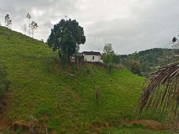 Imagem Fazenda à Venda, 10.000 m² em Taboquinhas - Itacaré Imagem Fazenda à Venda, 10.000 m² em Taboquinhas - Itacaré