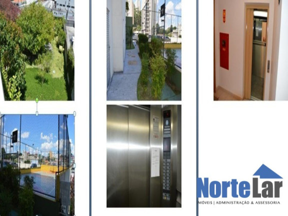 Imagem Apartamento com 2 Quartos à Venda, 50 m² em Vila Cruz Das Almas - São Paulo