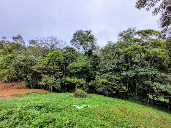Imagem Chácara à Venda, 24.900 m² em Três Rios Do Norte - Jaraguá Do Sul