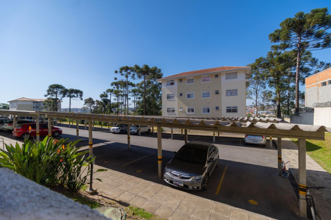 Imagem Apartamento com 2 Quartos para Alugar, 42 m² em Cidade Industrial - Curitiba Imagem Apartamento com 2 Quartos para Alugar, 42 m² em Cidade Industrial - Curitiba
