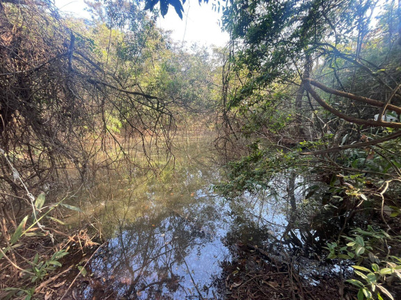 Imagem Terreno à Venda, 44 m² em Centro - Itatiaiuçu Imagem Terreno à Venda, 44 m² em Centro - Itatiaiuçu