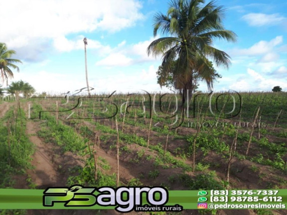 Imagem Terreno à Venda, 80.000 m² em Cidade Balneária Novo Mundo I - Conde Imagem Terreno à Venda, 80.000 m² em Cidade Balneária Novo Mundo I - Conde