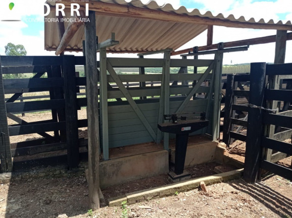 Imagem Imóvel com 1 Quarto à Venda, 1.137.400 m² em Centro - Paranapanema