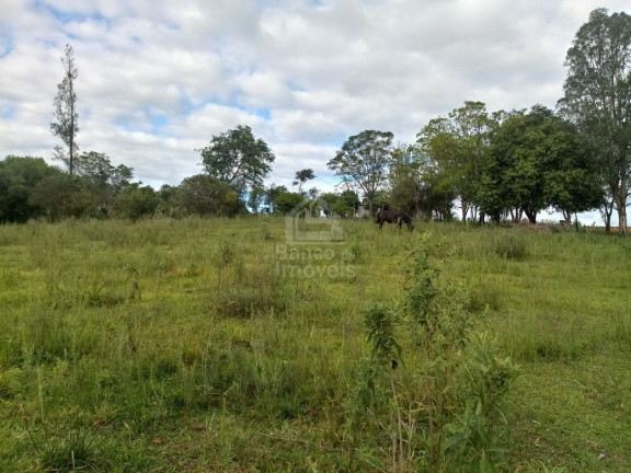 Imagem Terreno à Venda, 5.000 m² em Boi Morto - Santa Maria Imagem Terreno à Venda, 5.000 m² em Boi Morto - Santa Maria