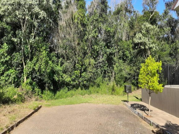 Imagem Terreno à Venda, 456 m² em Platanos Ii - Nova Petrópolis Imagem Terreno à Venda, 456 m² em Platanos Ii - Nova Petrópolis
