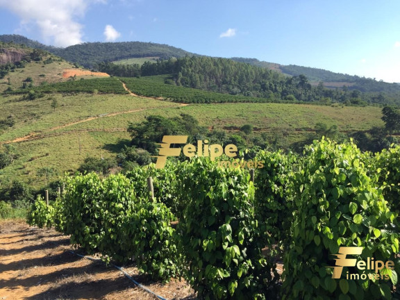 Imagem Imóvel com 1 Quarto à Venda, 55 m² em área Rural De Colatina - Colatina