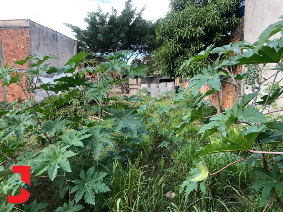 Imagem Terreno à Venda, 360 m² em Vila Guaranhuns - Vila Velha