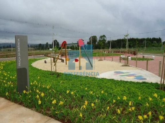 Imagem Terreno à Venda, 320 m² em Jardim Carvalho - Ponta Grossa Imagem Terreno à Venda, 320 m² em Jardim Carvalho - Ponta Grossa