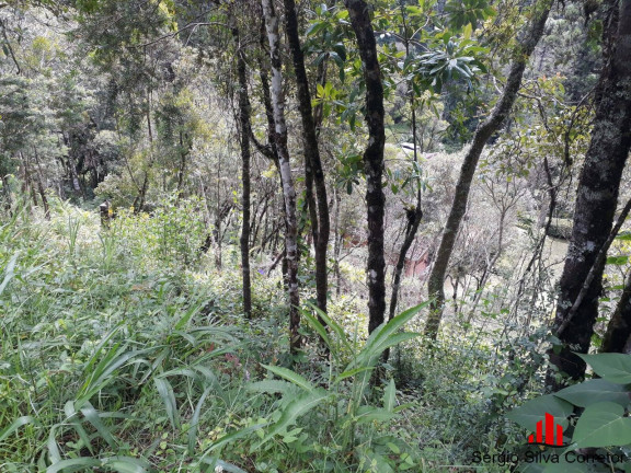 Imagem Terreno à Venda, 1 m² em Vila Capivari - Campos Do Jordão Imagem Terreno à Venda, 1 m² em Vila Capivari - Campos Do Jordão