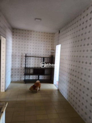 Imagem Casa com 3 Quartos à Venda, 133 m² em Vila Joaquim Inácio - Campinas Imagem Casa com 3 Quartos à Venda, 133 m² em Vila Joaquim Inácio - Campinas