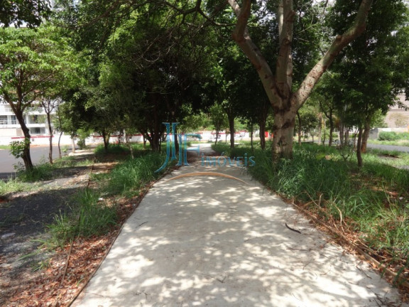 Imagem Terreno à Venda, 295 m² em Jardim Califórnia - Ribeirão Preto