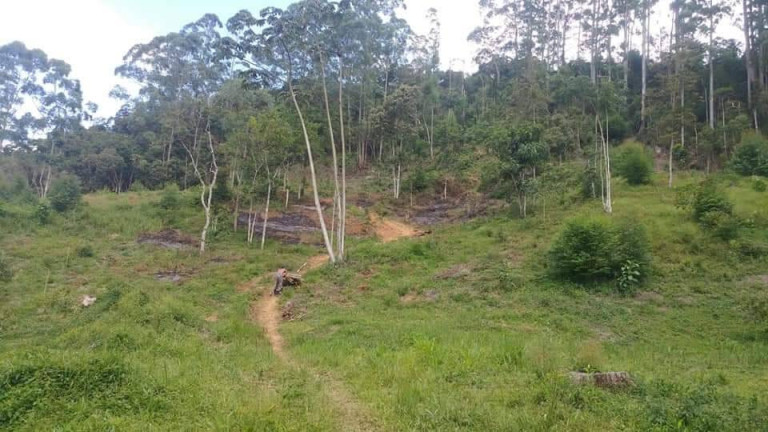 Imagem Terreno à Venda, 15 m² em Mury - Nova Friburgo Imagem Terreno à Venda, 15 m² em Mury - Nova Friburgo