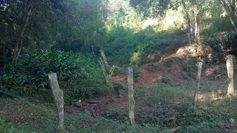 Imagem Chácara com 3 Quartos à Venda, 100 m² em Mato Dentro - Virgínia Imagem Chácara com 3 Quartos à Venda, 100 m² em Mato Dentro - Virgínia