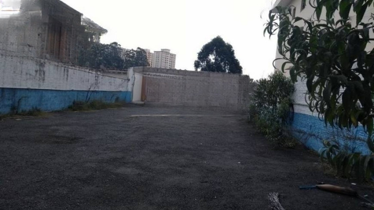 Imagem Terreno para Alugar, 300 m² em Vila São Paulo - São Paulo Imagem Terreno para Alugar, 300 m² em Vila São Paulo - São Paulo
