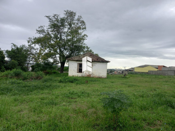 Imagem Terreno à Venda, 1.250 m² em Pinheiro Machado - Santa Maria Imagem Terreno à Venda, 1.250 m² em Pinheiro Machado - Santa Maria