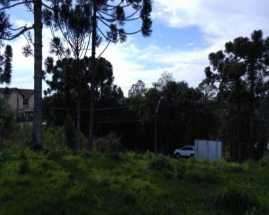 Imagem Terreno à Venda, 1.051 m² em Vila Germânia - Nova Petrópolis Imagem Terreno à Venda, 1.051 m² em Vila Germânia - Nova Petrópolis