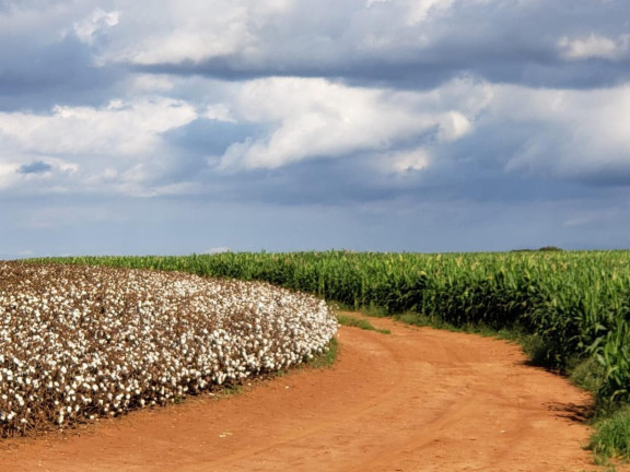 Imagem Fazenda à Venda, 2.178 m² em Rural - Itaí Imagem Fazenda à Venda, 2.178 m² em Rural - Itaí