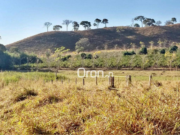 Imagem Fazenda à Venda, 500 m² em Zona Rural - Goianápolis Imagem Fazenda à Venda, 500 m² em Zona Rural - Goianápolis